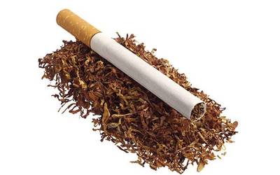 注册烟草商标的要求是什么?